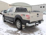 2010 F-150 Crew Cab 4x4 #03026001