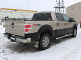 2010 F-150 Crew Cab 4x4 #03026001