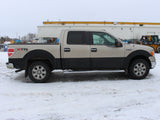 2010 F-150 Crew Cab 4x4 #03026001