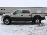 2010 F-150 Crew Cab 4x4 #03026001