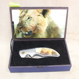 Lion Knife #07226425