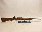 M77/22 22WMR #06165401