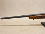 M77/22 22WMR #06165401