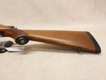 M77/22 22WMR #06165401