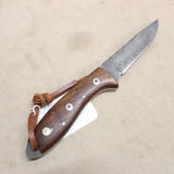 NEW 3.75" Forged Straight Back Knife w/ Sheath #04296835