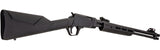 Gallery 22LR Pump-Action