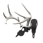 Antler Shed Mount