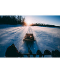 NEW Pro Sled Magnum #04075812