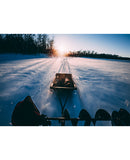NEW Pro Sled Magnum #04075812