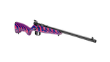 savage rascal youth rifle
