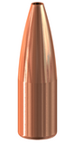 Hollow point bullet