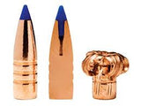 Tipped TSX Bullets