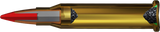 inside of bullet